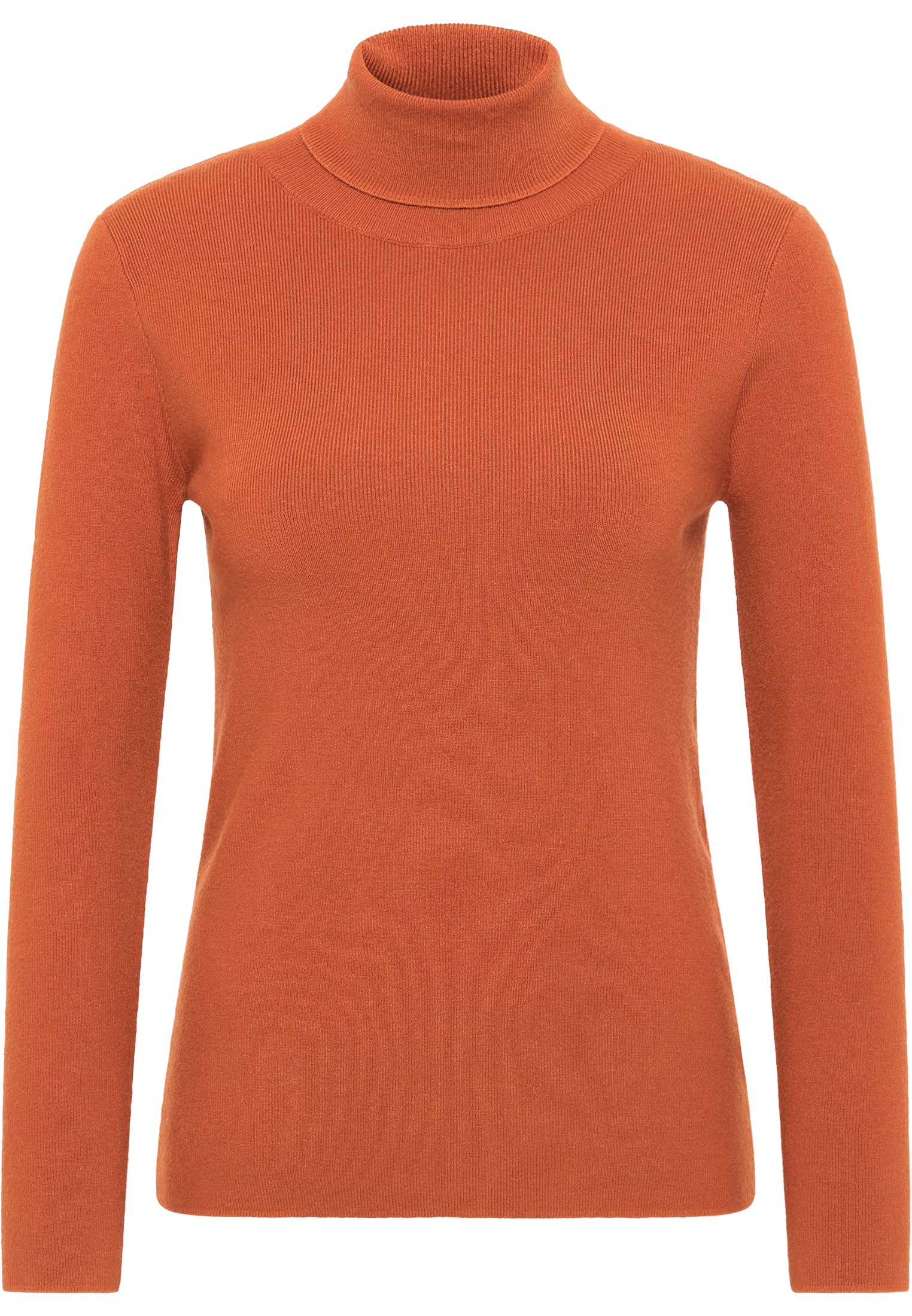 usha Women's Turtleneck Sweater