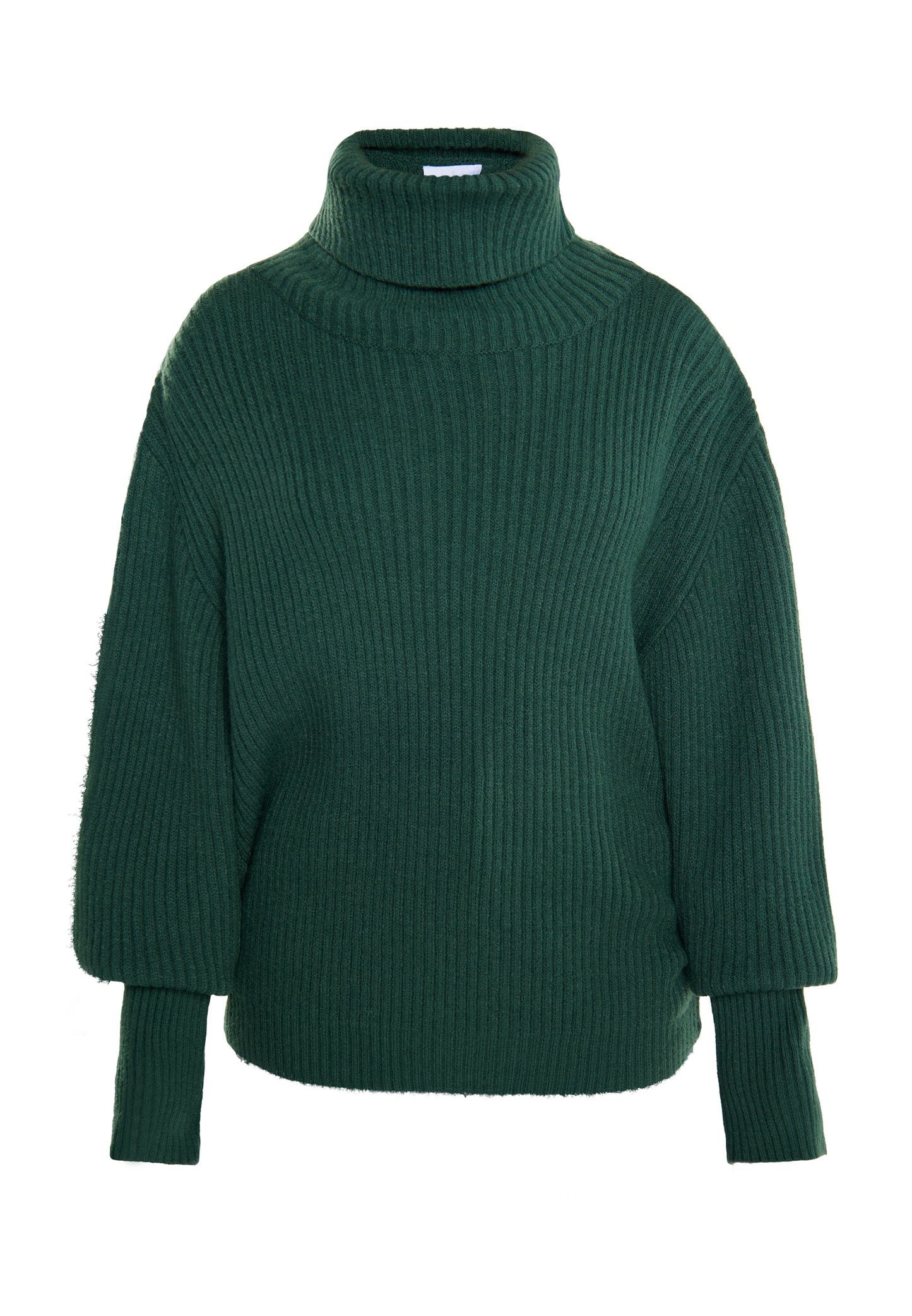 usha WHITE LABEL Women's Turtleneck Sweater