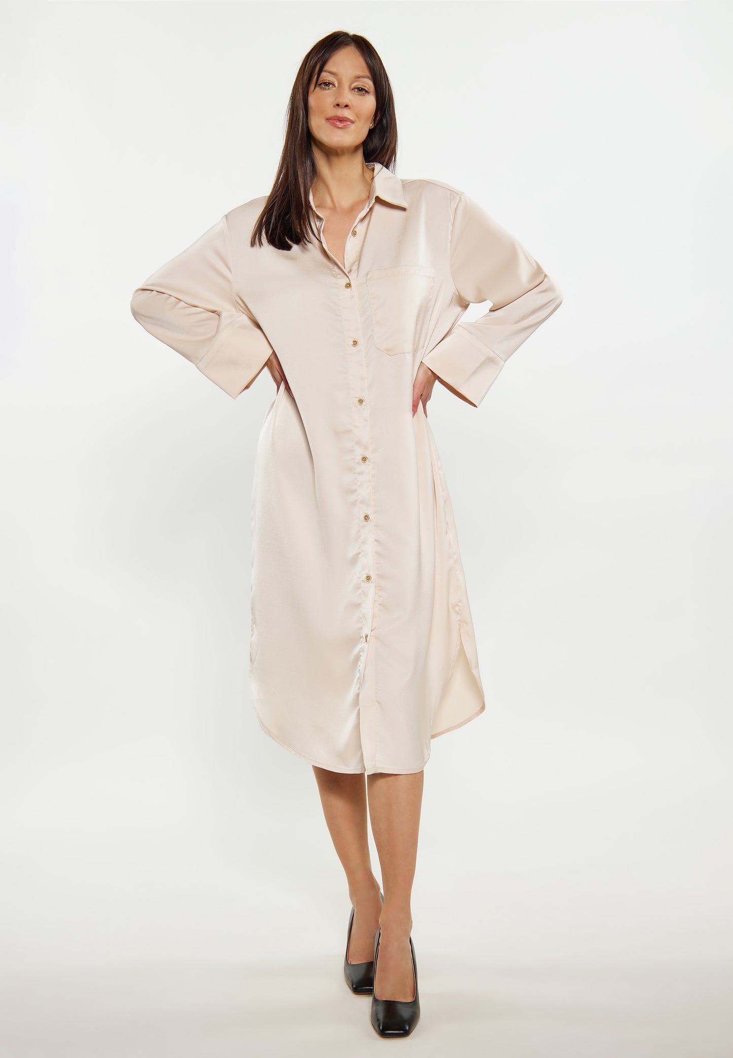 usha BLACK LABEL Women's Dress