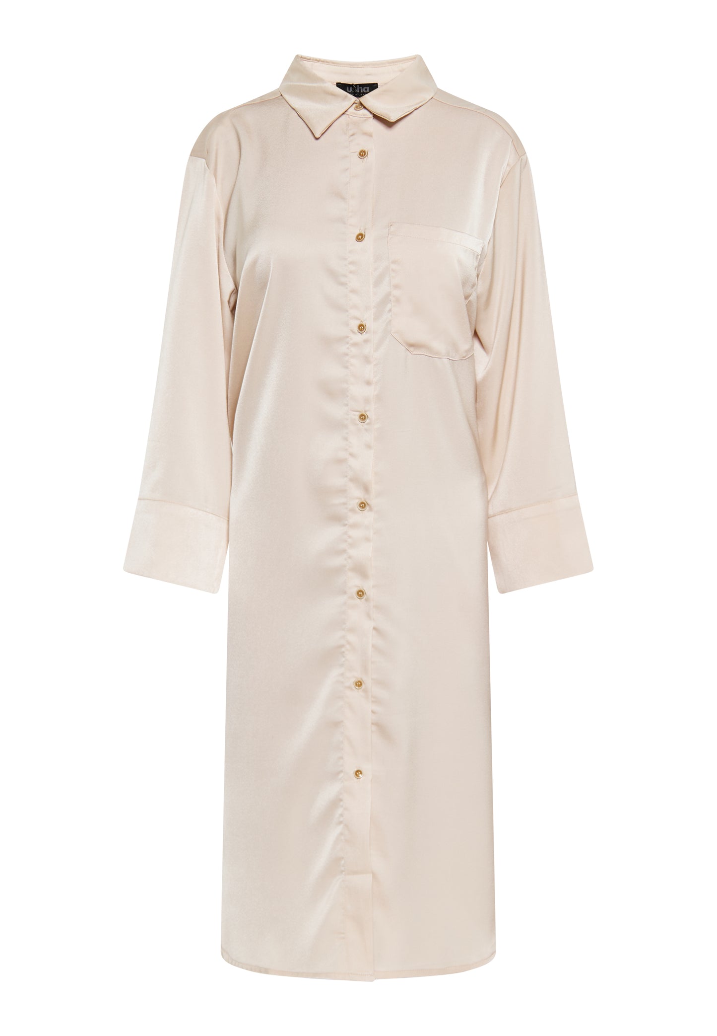 usha BLACK LABEL Women's Dress