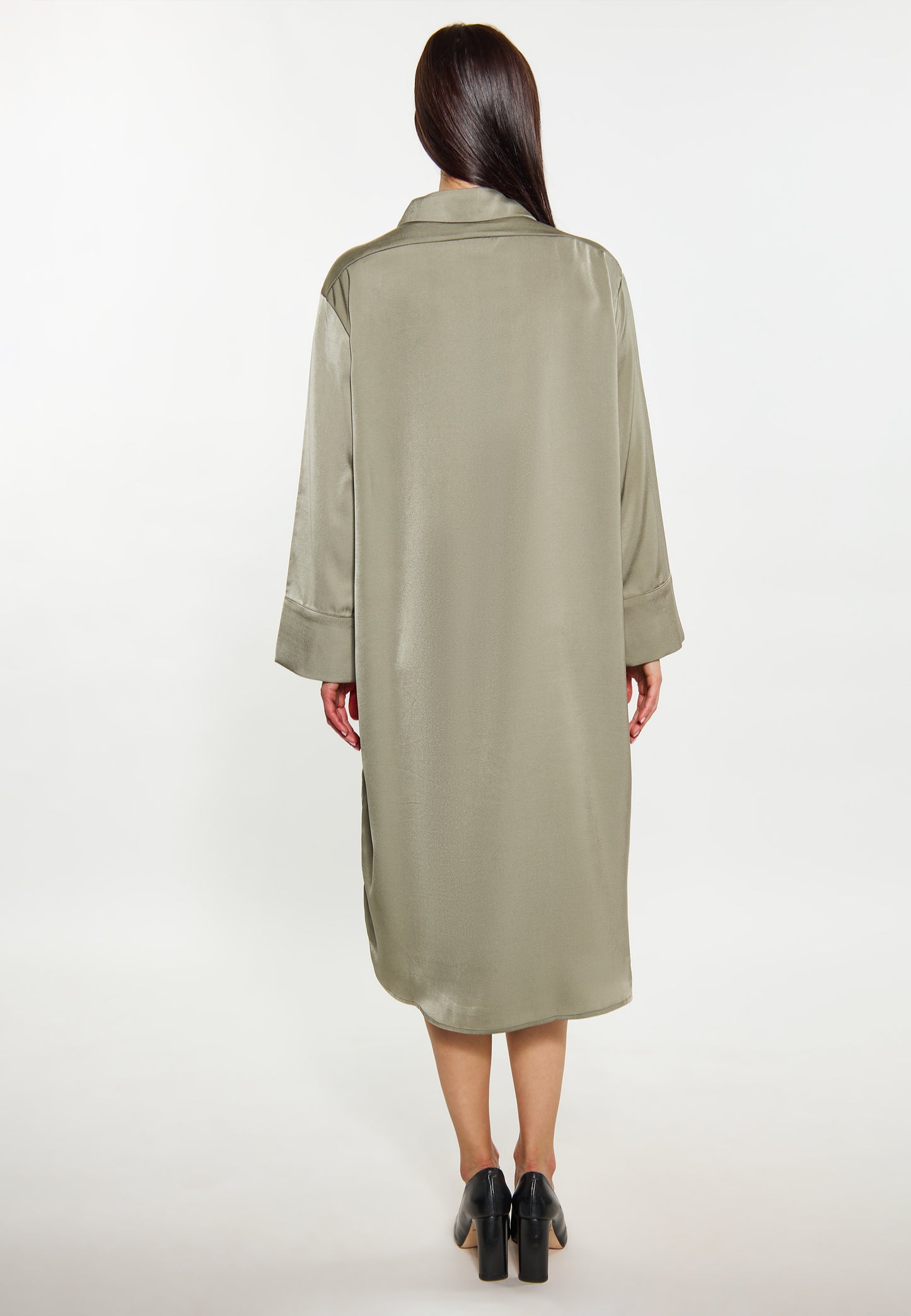 usha BLACK LABEL Women's Dress