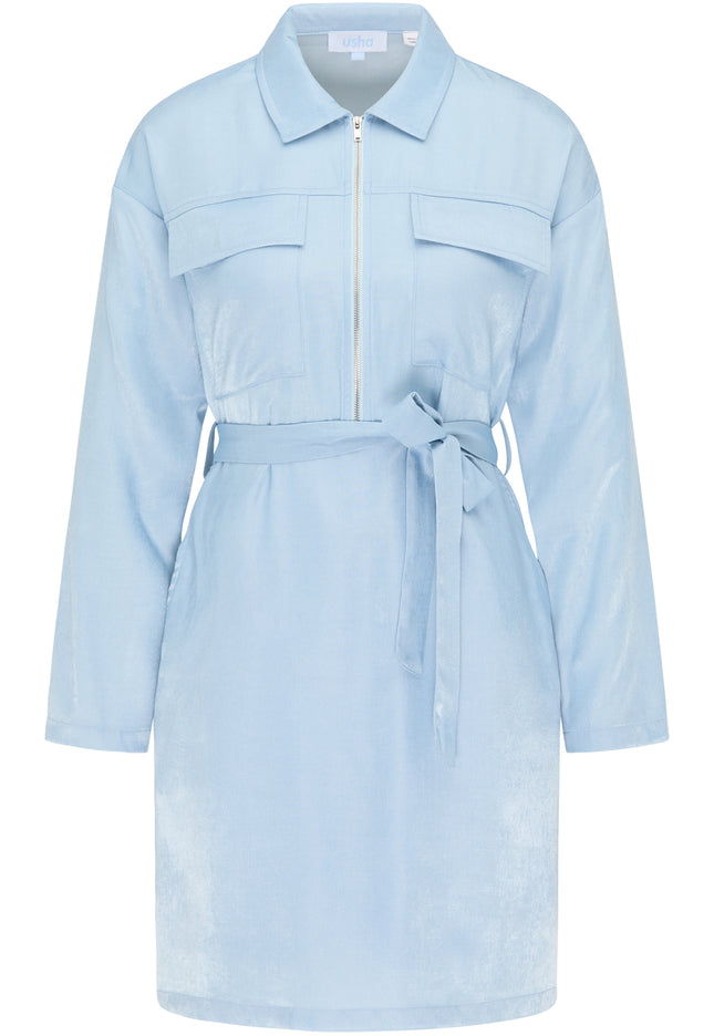 usha BLUE LABEL Women's Shirt Dress