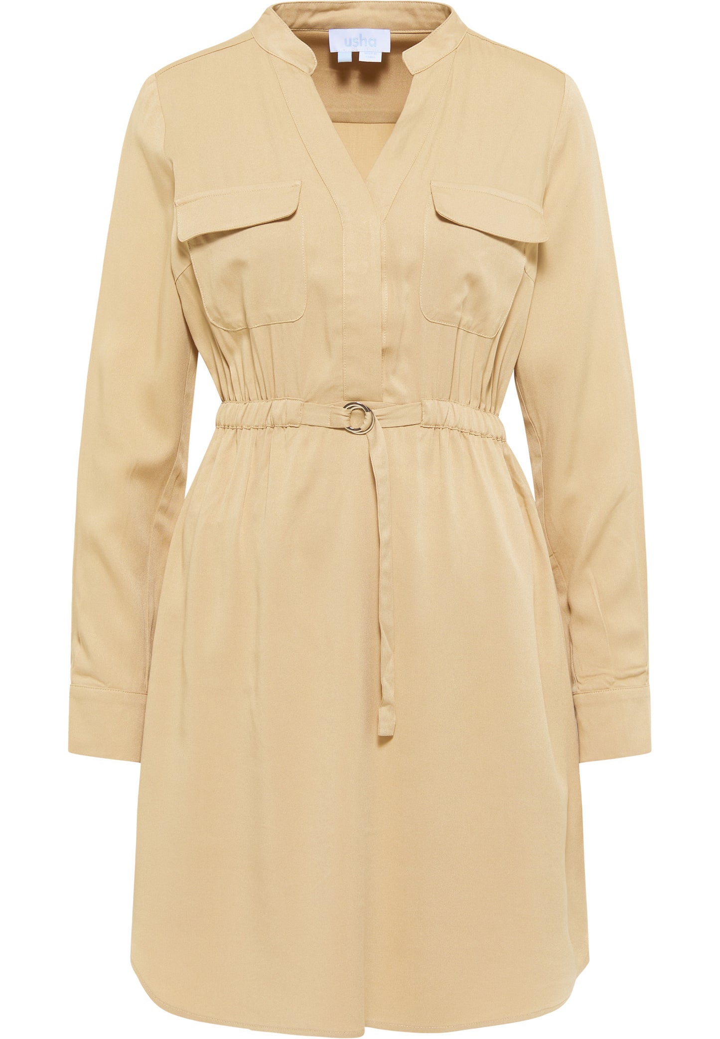 usha BLUE LABEL Women's Dress With Long Sleeves