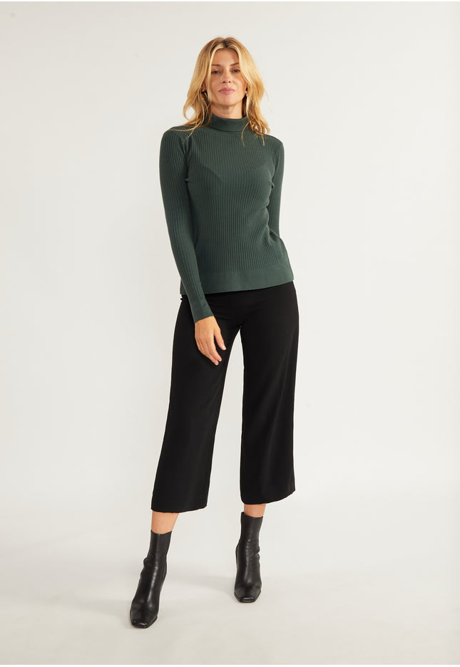 usha BLACK LABEL Women's Knit Turtleneck Sweater