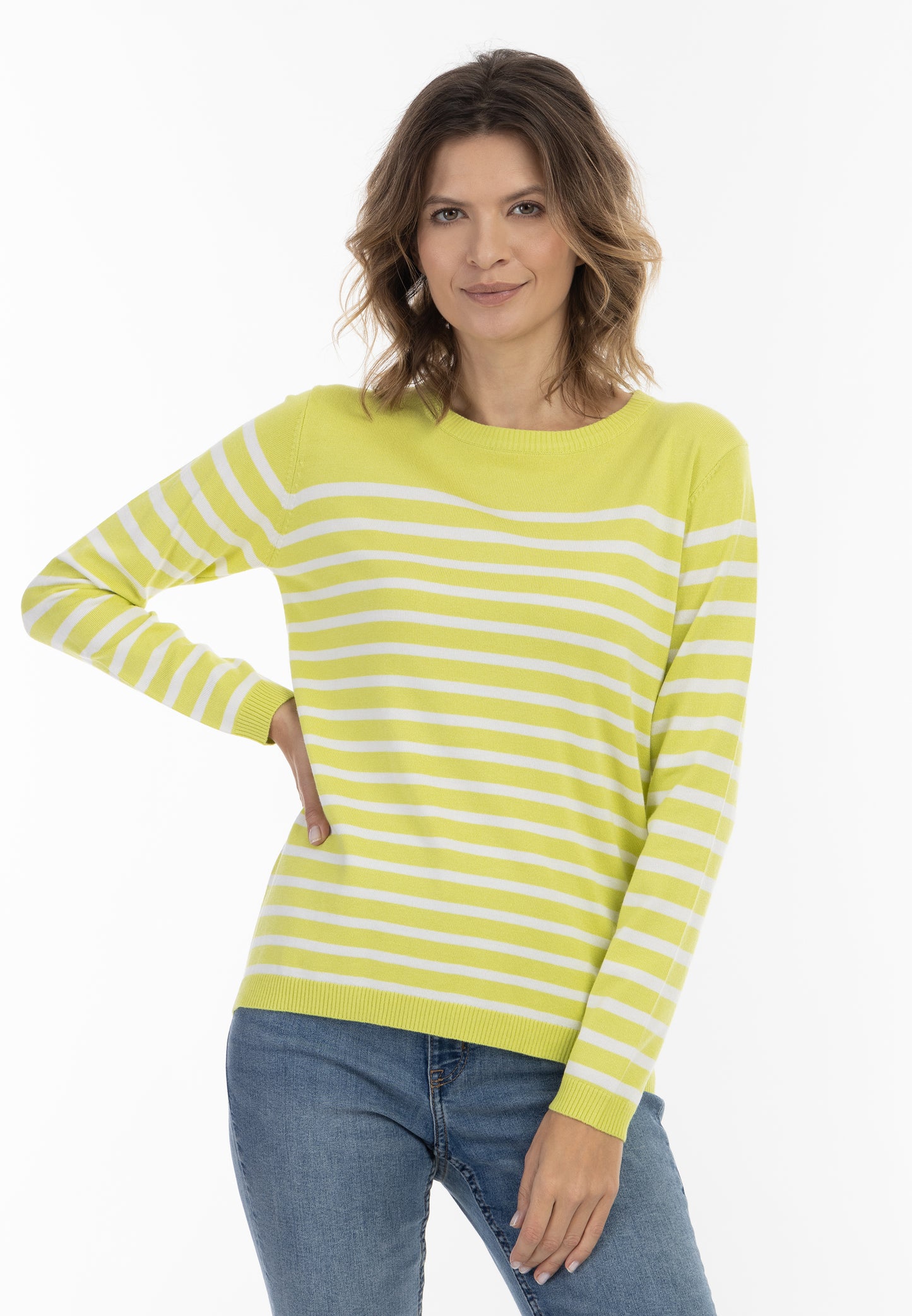 usha BLUE LABEL Women's Knit Sweater