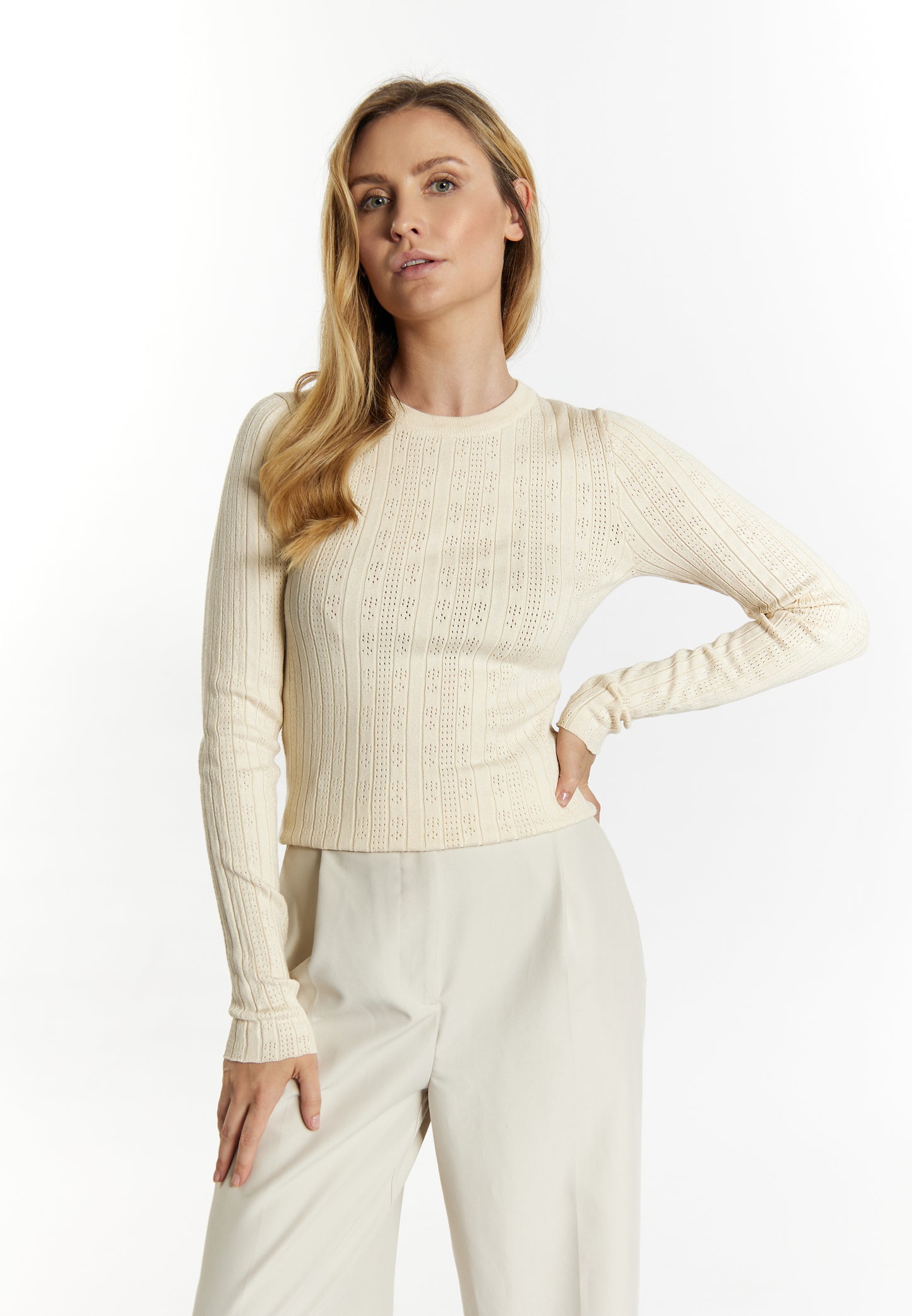 usha BLACK LABEL Women's Knitted Sweater