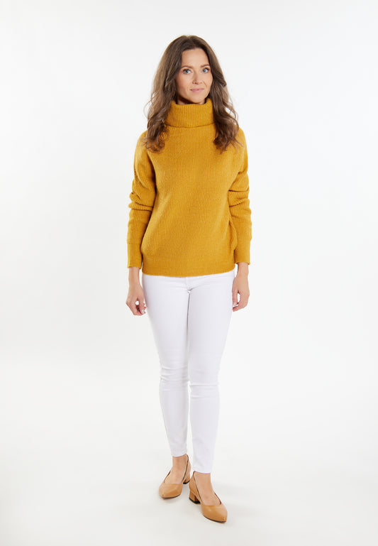 usha Women's Knitted Sweater