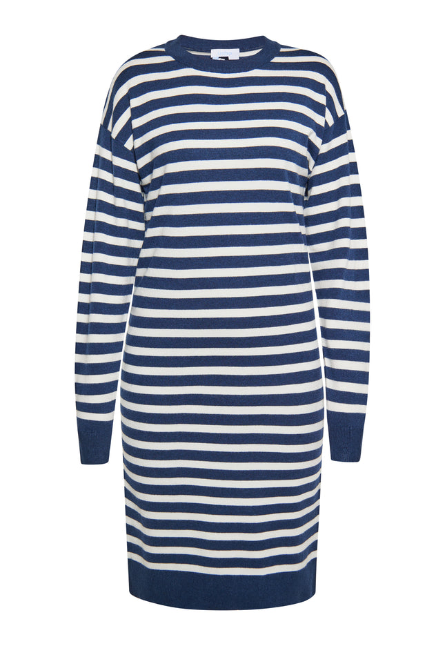 usha BLUE LABEL Women's Dress