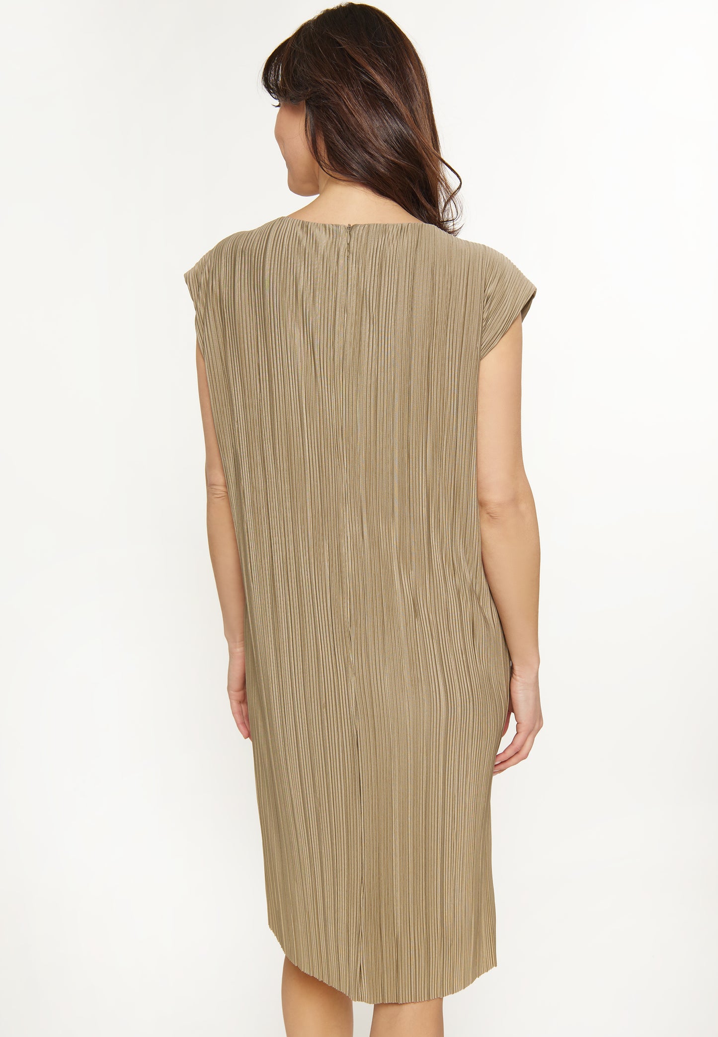 usha WHITE LABEL Women's Dress