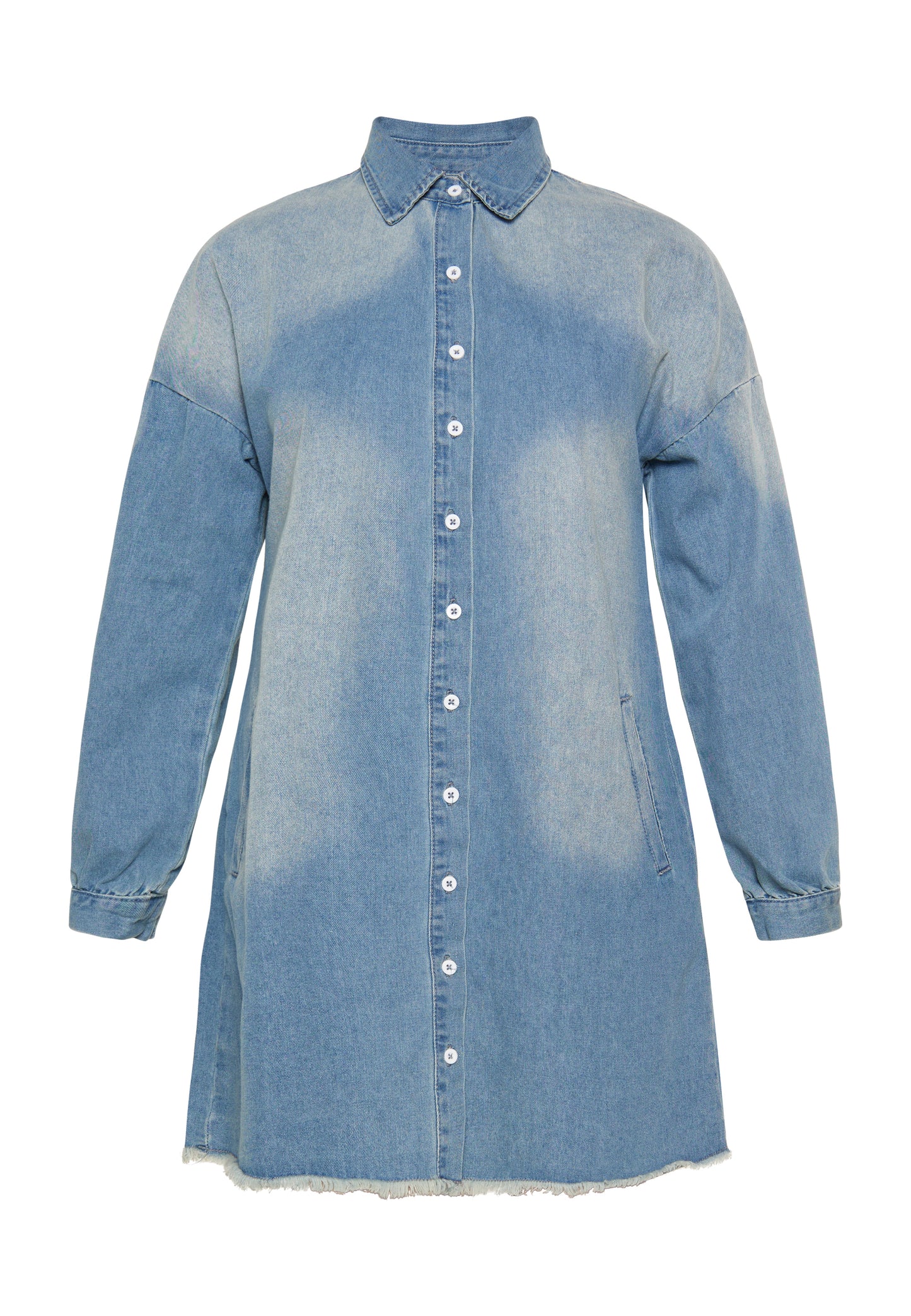 usha BLUE LABEL Dress
