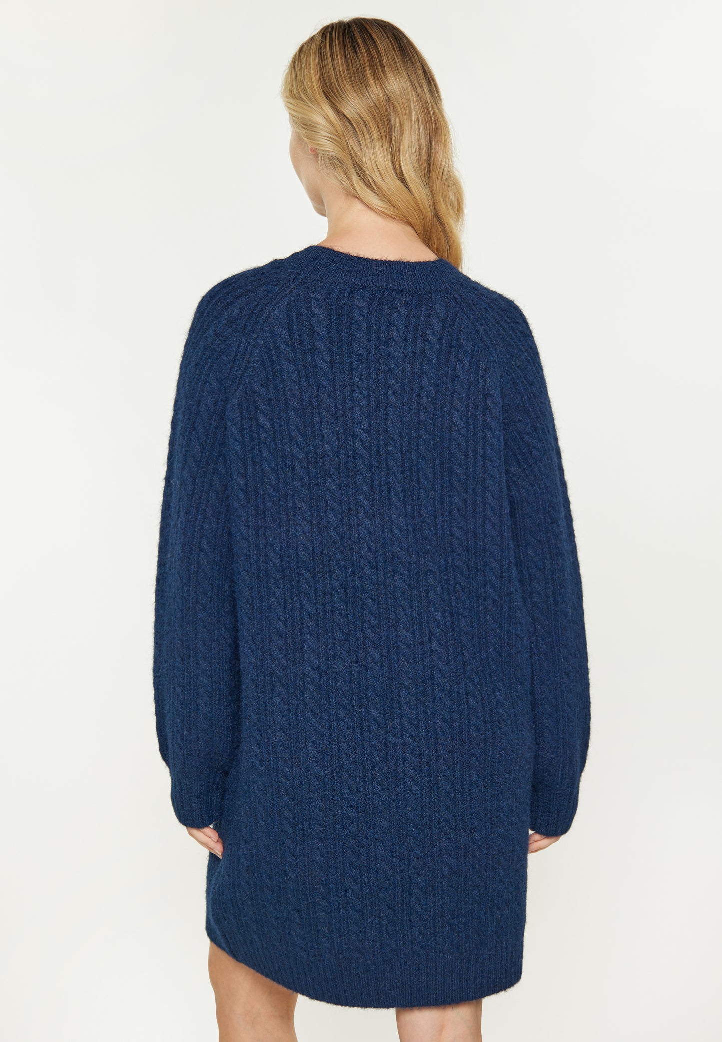 usha BLUE LABEL Women's Dress