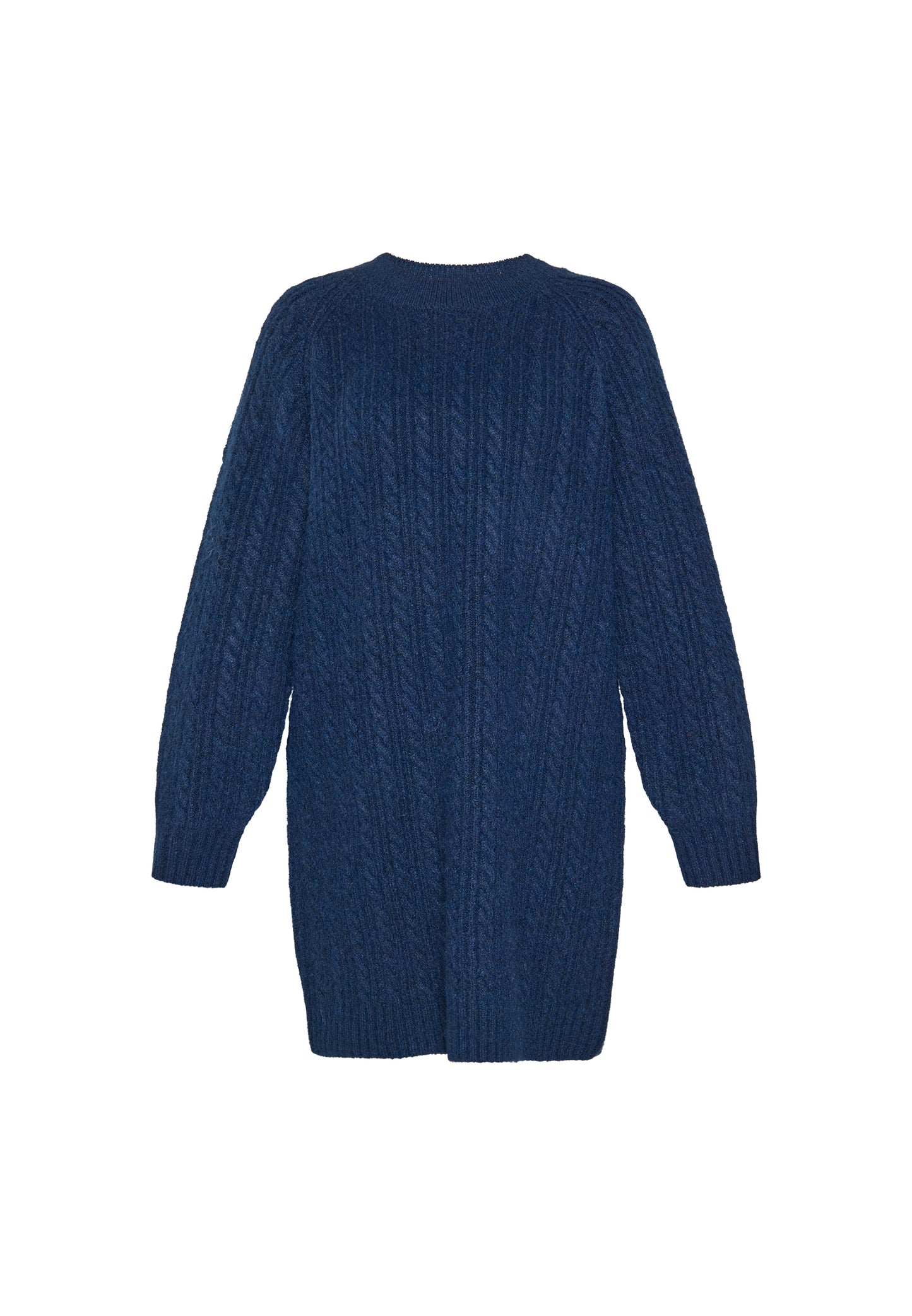 usha BLUE LABEL Women's Dress